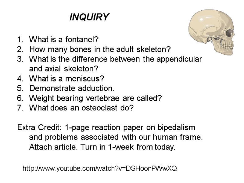 INQUIRY http://www.youtube.com/watch?v=DSHoonPWwXQ What is a fontanel? How many bones in the adult skeleton? What